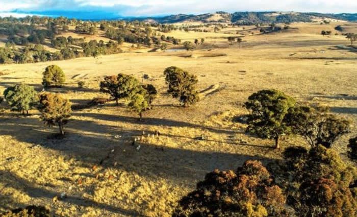 Gina Rinehart's Wagyu herd expansion with New England buy