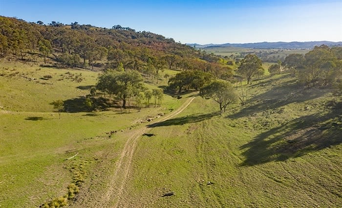 540 acre Woolangubra sold in fully online auction