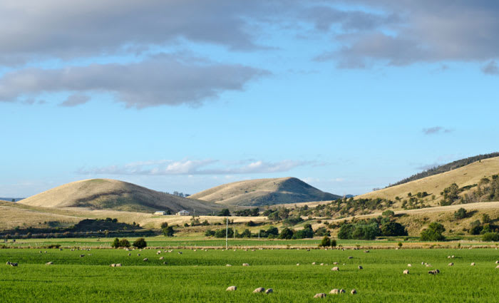 Chinese rural investment lower than most think