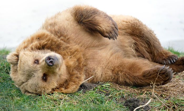 Don't let experts' bear fear stop you from making money: Peter Switzer