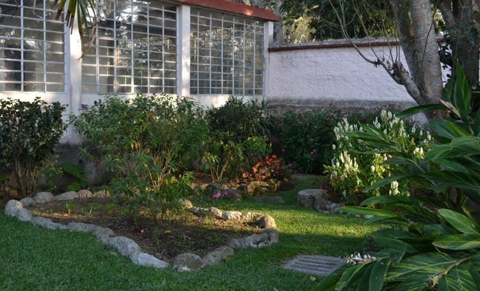 Five reasons to renovate your garden before the kitchen or bathroom