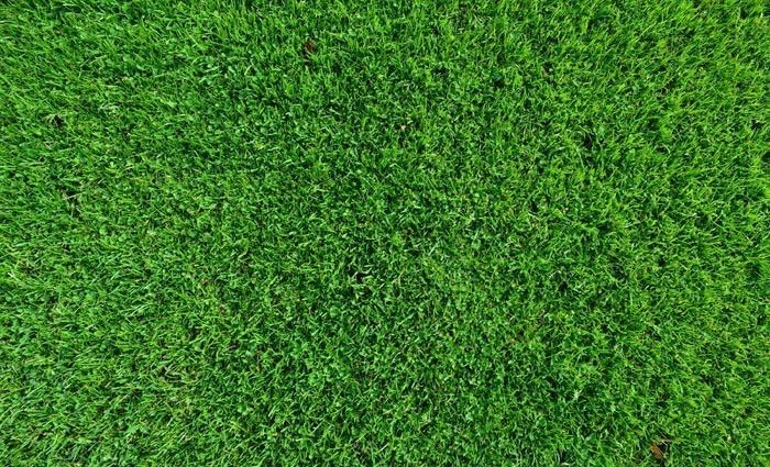 Do you think developers should offer a rebate for landscaping?