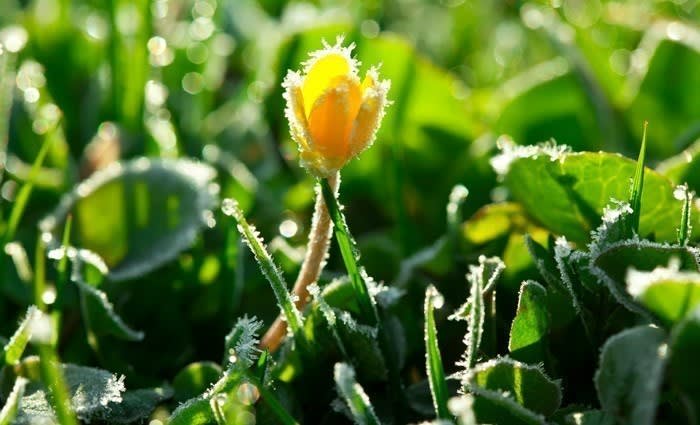 Selling your property in winter: Improving your garden’s appeal this weekend