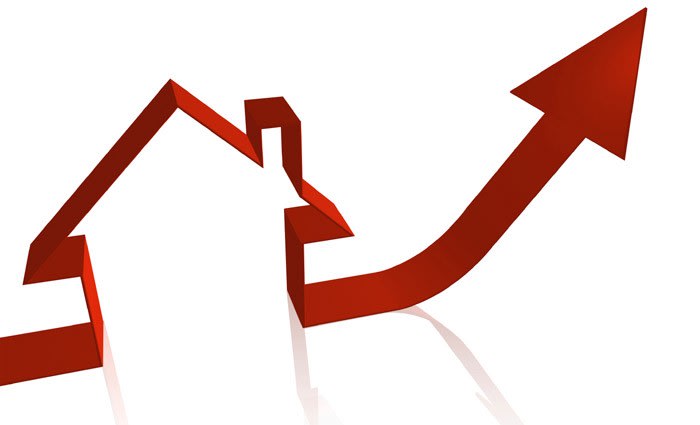 Auction numbers swells as spring approaches