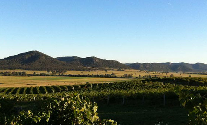 Hunter Valley winery up for sale