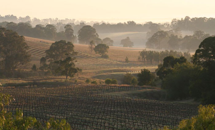 There's a lot more to the Hunter Valley's economy than mining: Jo Chivers