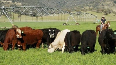 Dunmore Station in Manilla, NSW on the market