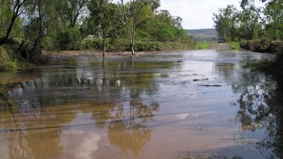 Insurers urge government to invest in flood risk mitigation