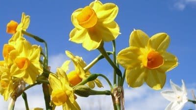 Spring property market: Fears, facts and focus