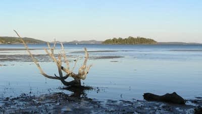 Not quite tropical, NSW mid-north coast Garden Island at Port Stephens on the market