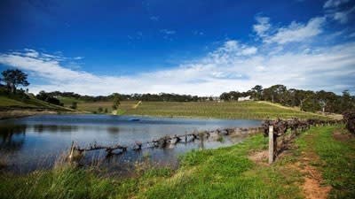 US-based Jackson Family Wines buys SA’s Hickinbotham Clarendon Vineyard