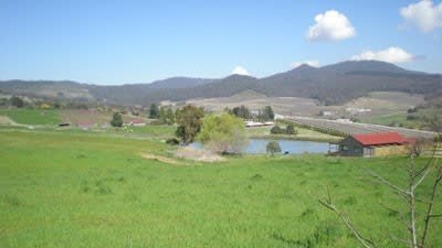 Former NSW politician Ian McDonald withdraws his Orange farm from sales marketing 