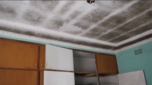 Is your tenant living in squalor? This video is hard to watch