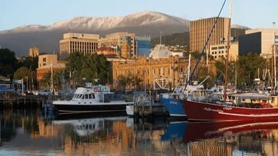 Tasmania even more affordable as sales volume shrinks