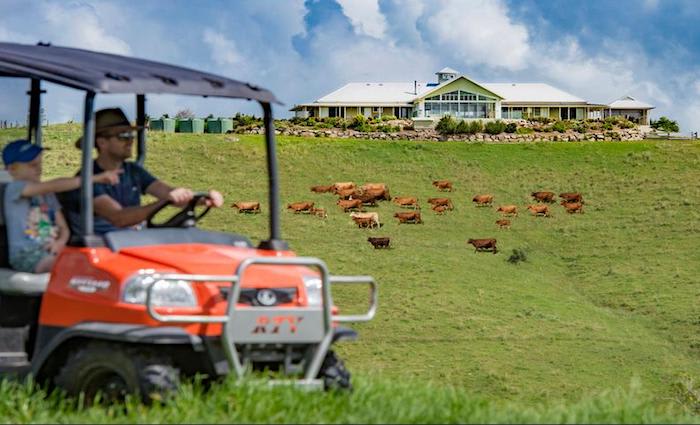 Mount Mee cattle farm Haranel listed for sale