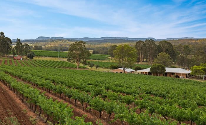Duck Hollow vineyard in Hunter Valley sells
