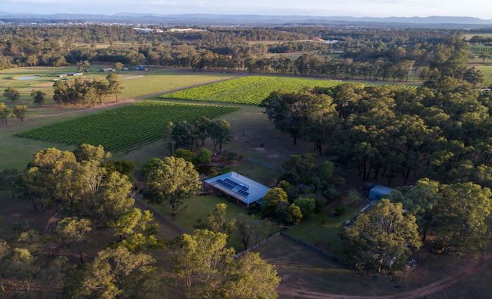 Pokolbin vineyard with renovated home listed for $1.75 million