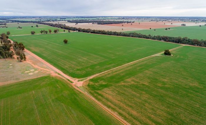 Ongoing drought impacts buyer's decision to pursue rural property in NSW: HTW rural
