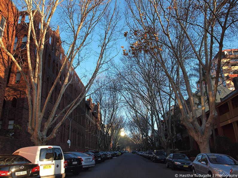 Potts Point Holiday Inn part of new State Significant Developments revealed by the NSW Gov