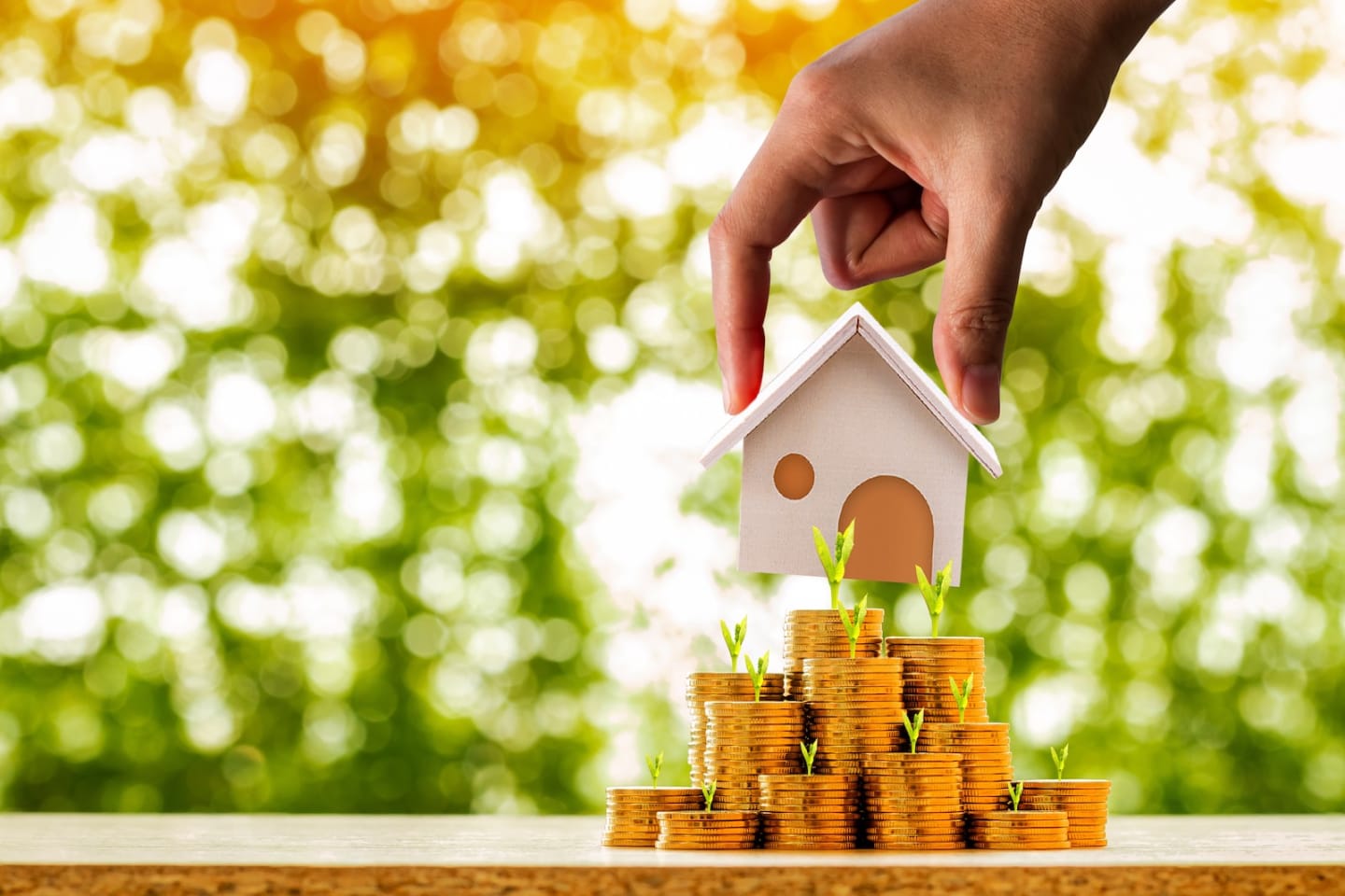 It’s time for real estate investors to stop procrastinating and get busy: Hotspotting's Terry Ryder