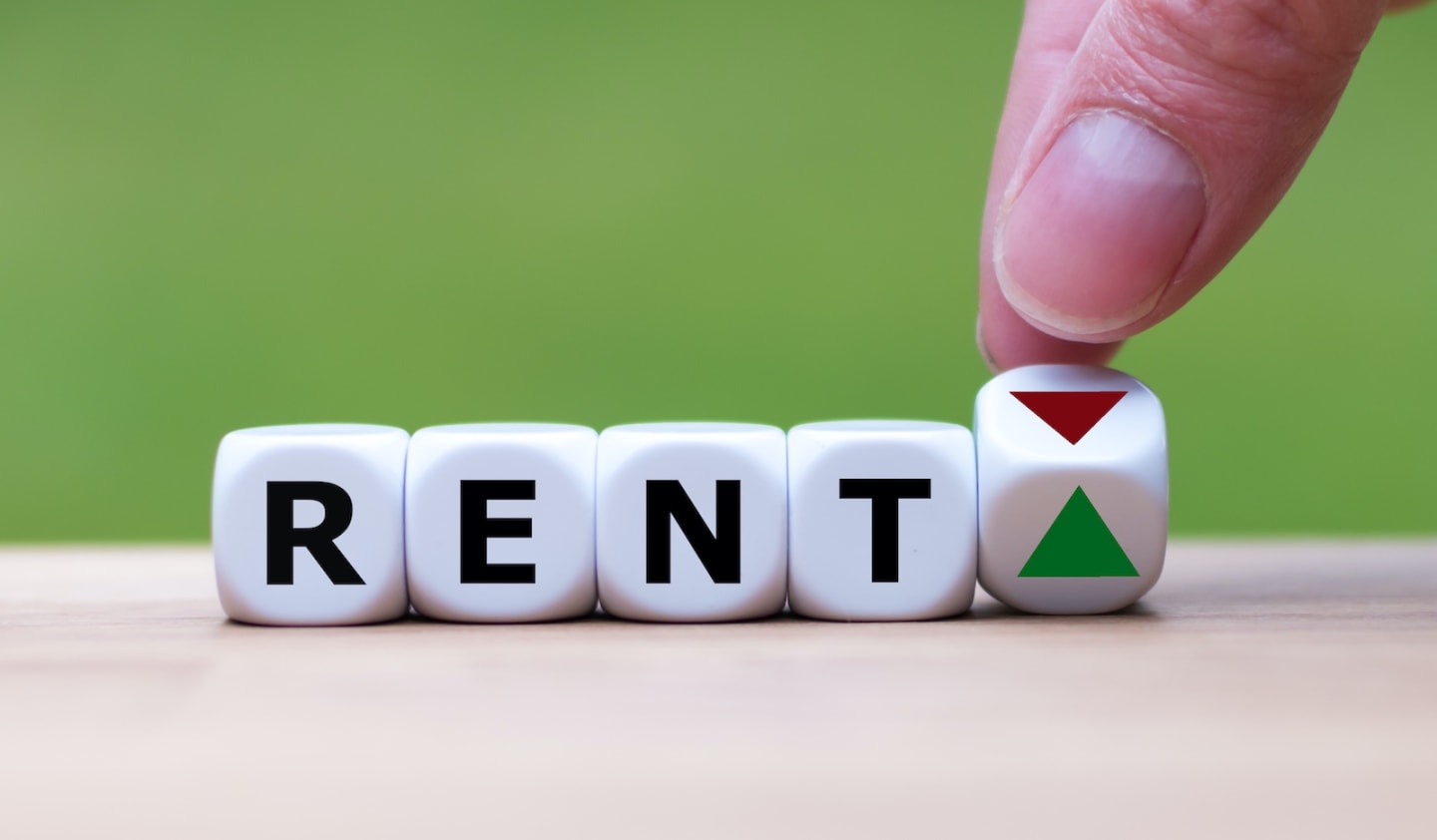 Rental demand reducing, but remains higher than last year: REA
