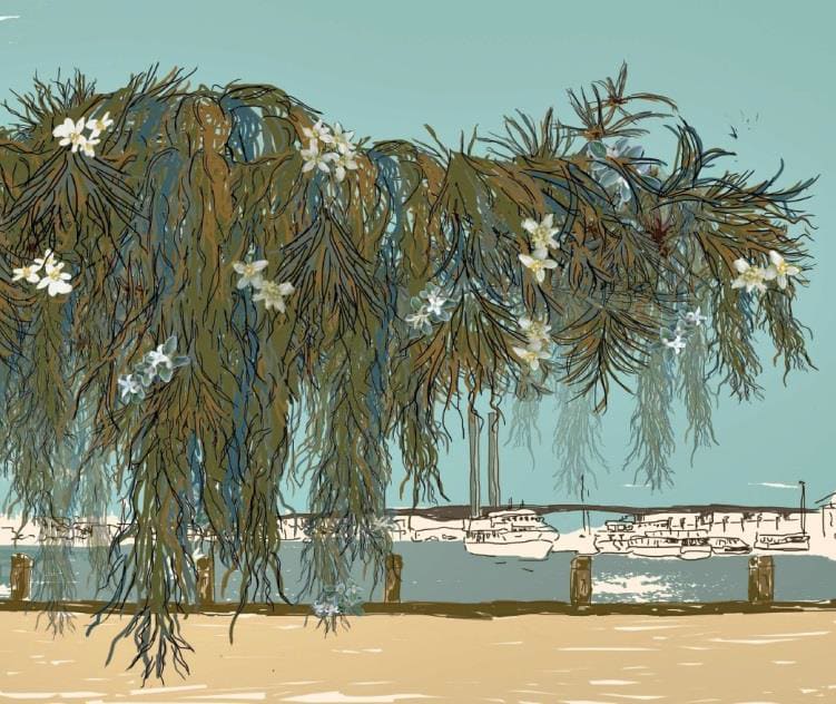 RMIT students propose pop-up activation for Docklands