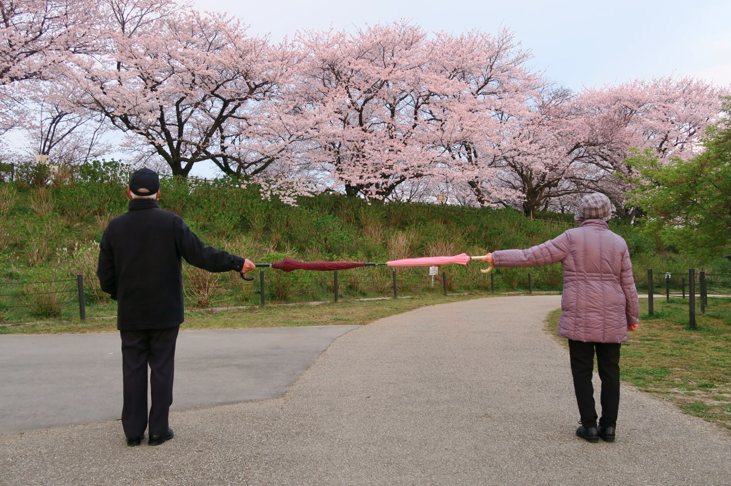 COVID-19: Is it possible to practise social distancing at home? Absolutely