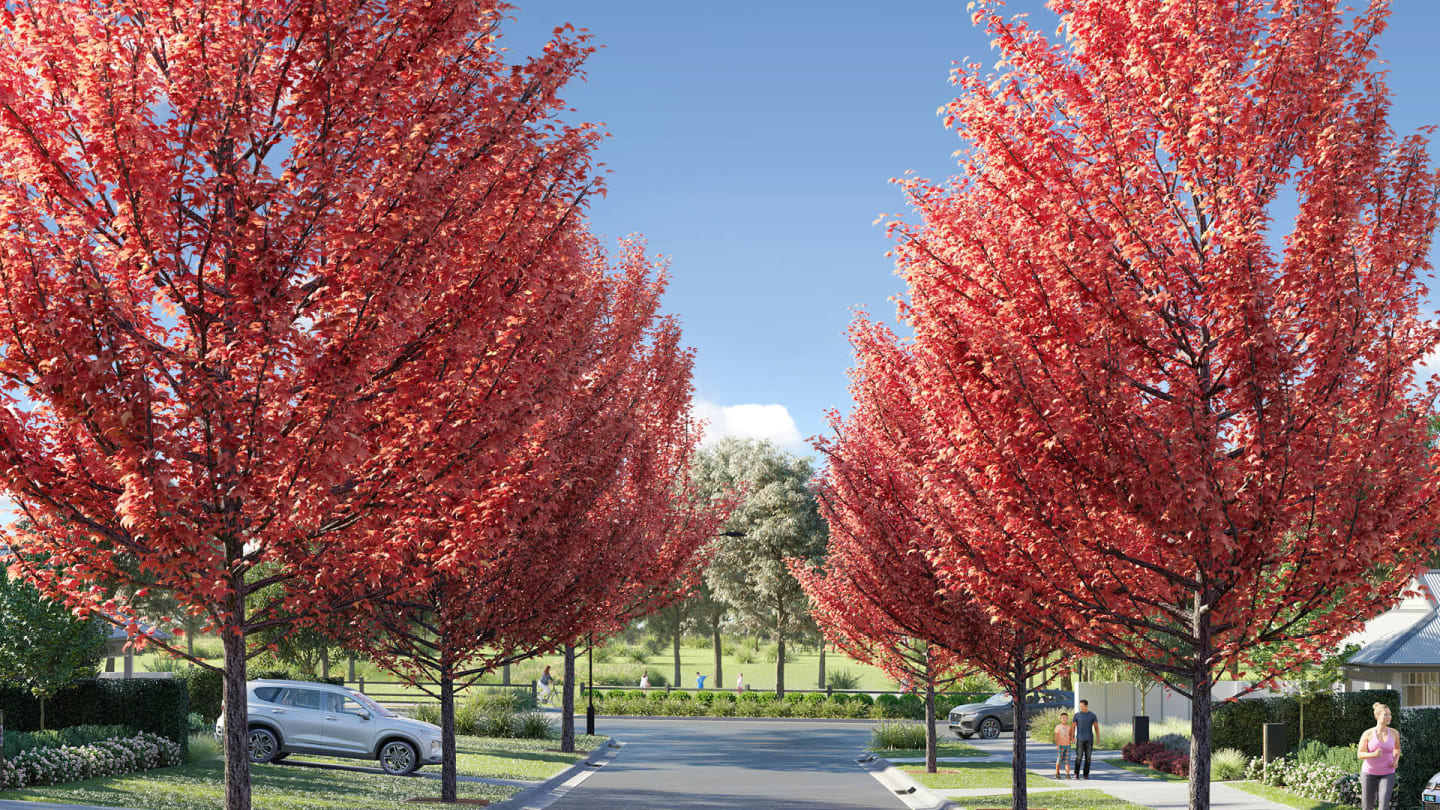 The Village - Menangle Road, Menangle