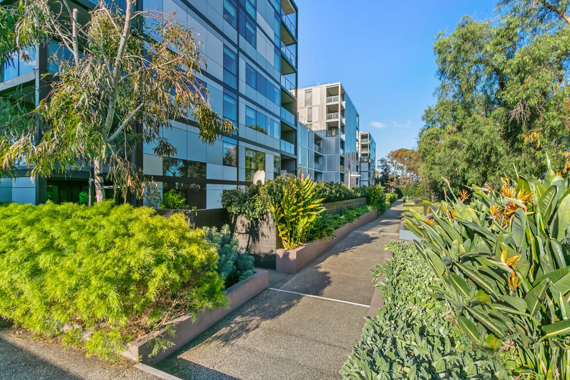 Melbourne's best completed inner-east apartments for sale in July 2023