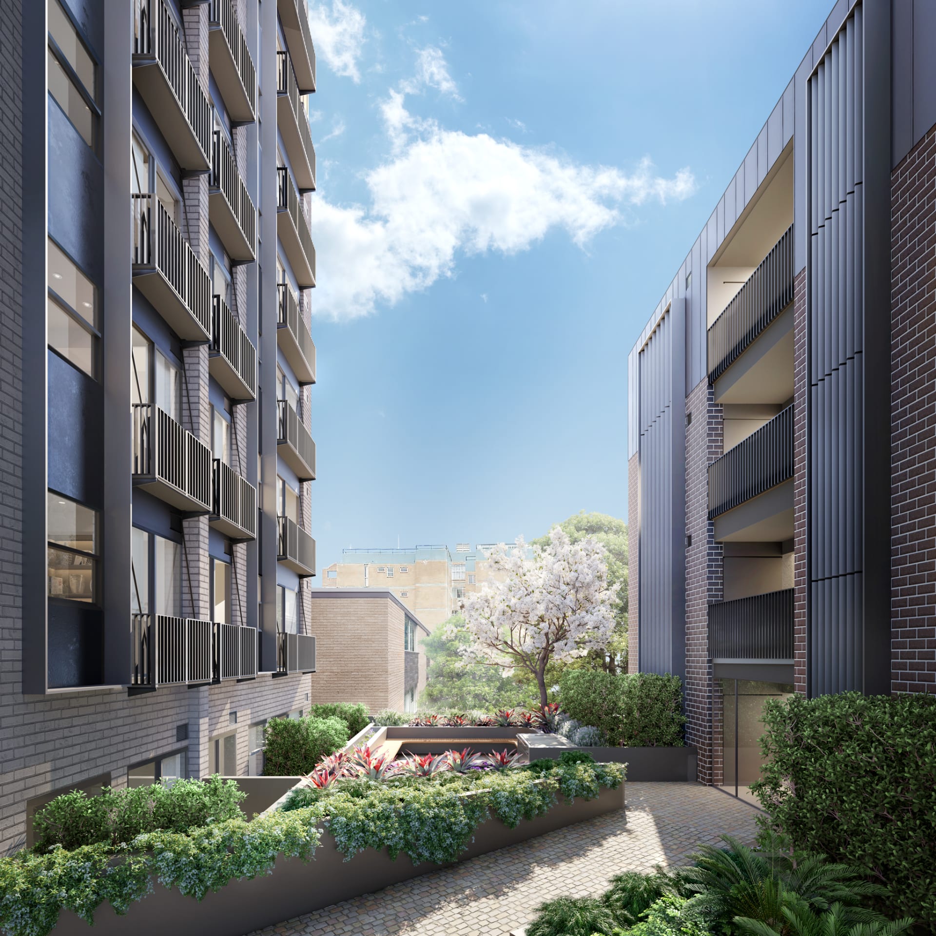 PERIFA launch Botanica Kingsford apartments