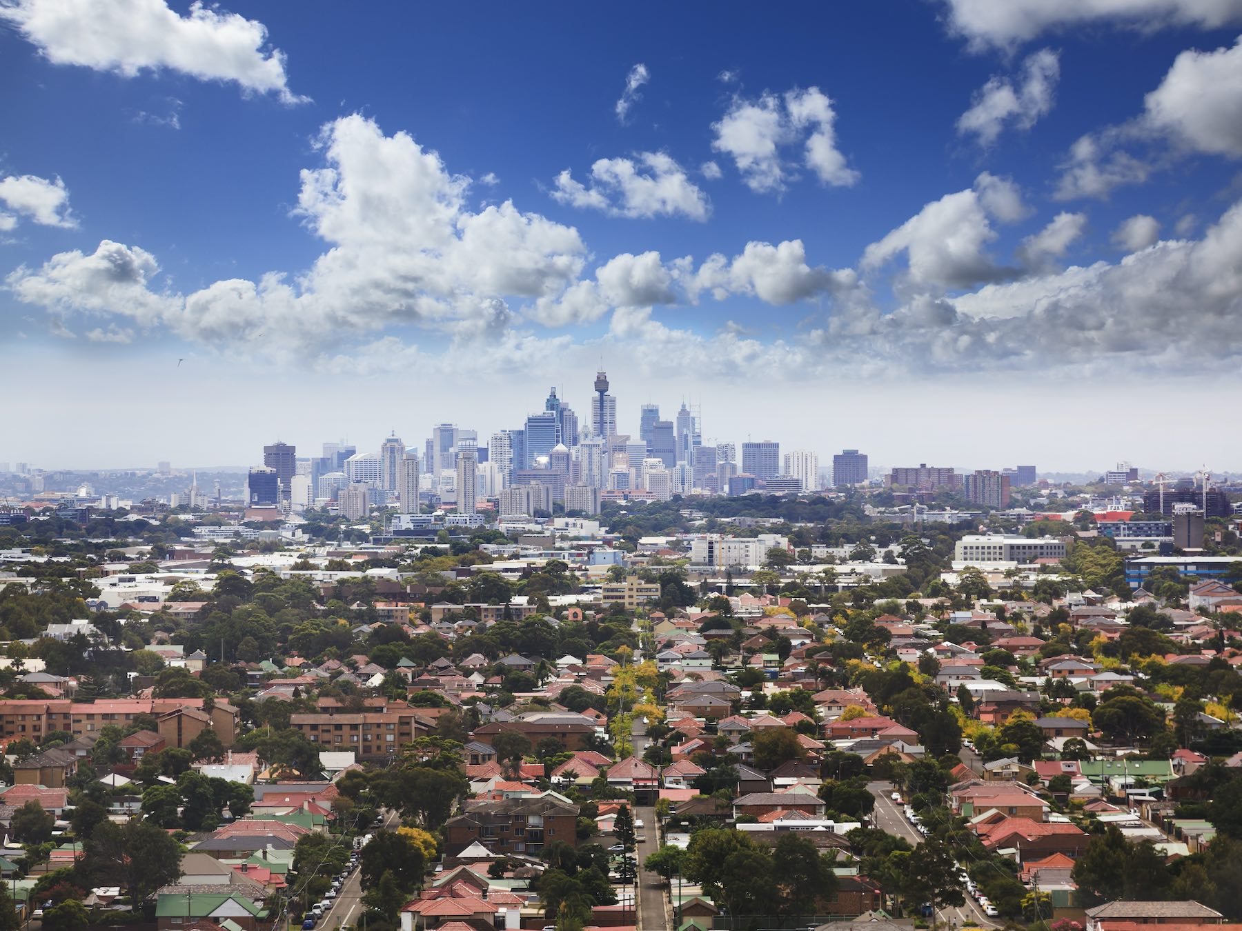 City Beat May 2024: Sydney unit growth doubles houses in April