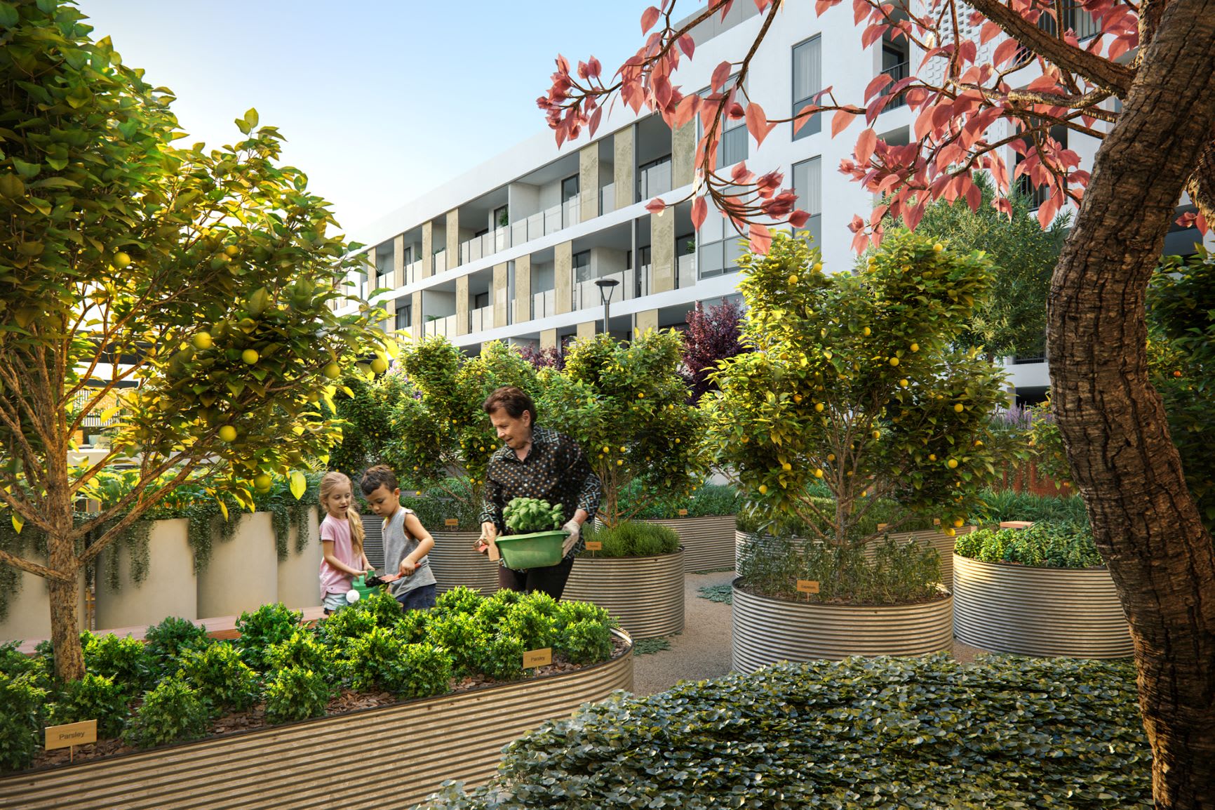 Design brief: Design scheme options for Shenton Quarter, Shenton Park apartment buyers