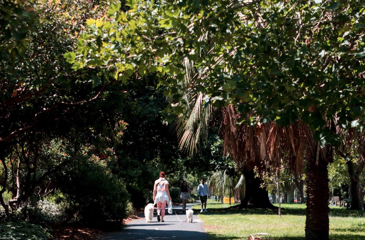 Telha Clarke Architects Architects for new apartments,...