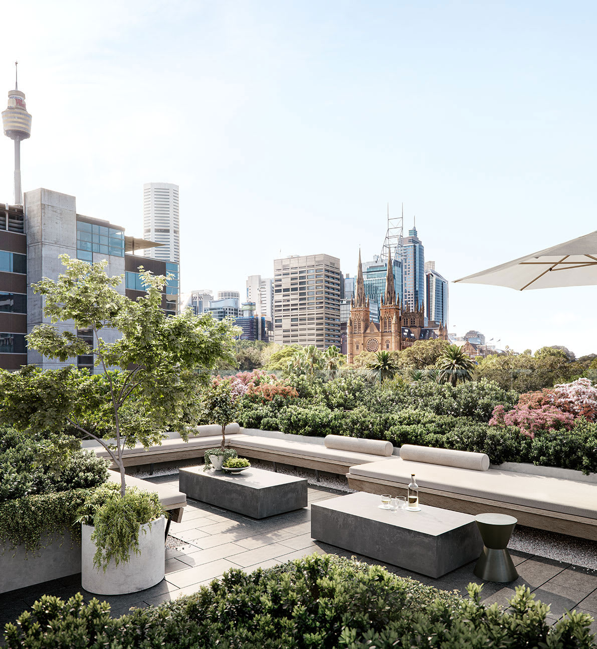 Darlinghurst's East Sydney Collection approaches completion