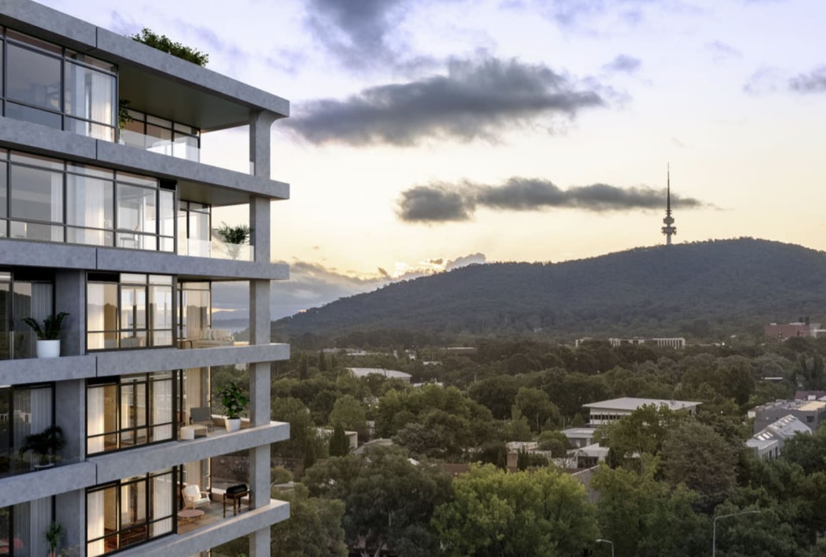 AHLEI by Liebke + Co, Braddon - 90 Northbourne Avenue, Braddon