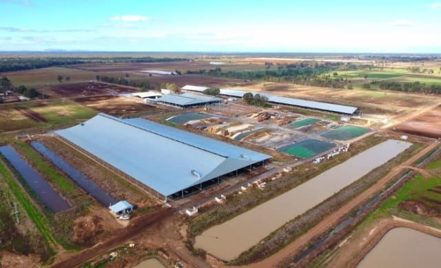 Gerry Harvey sells Victorian dairy farm