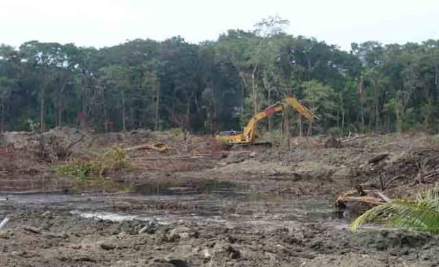 Queensland's new land-clearing laws are all stick and no carrot: Philippa England