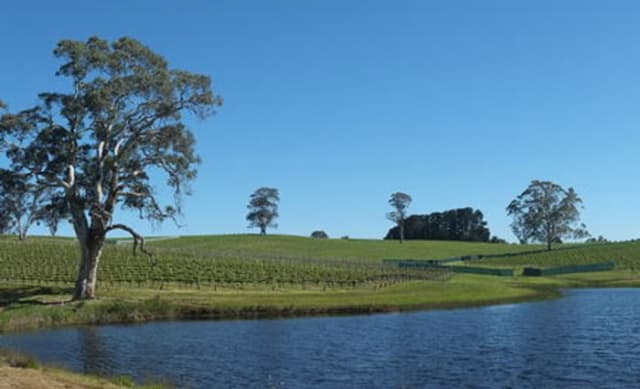 Adelaide Hills vineyard Galbraith listed 