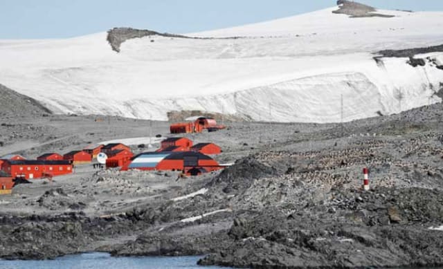 Cows in Antarctica? How one expedition milked them for all their worth