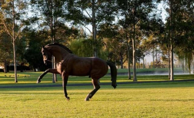 Horse breeder John Messara expands Arrowfield Stud