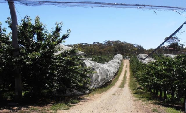 Kersbrook cherry farm listed in South Australia