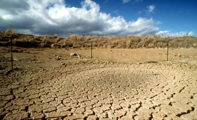 The lessons we need to learn to deal with the ‘creeping disaster’ of drought