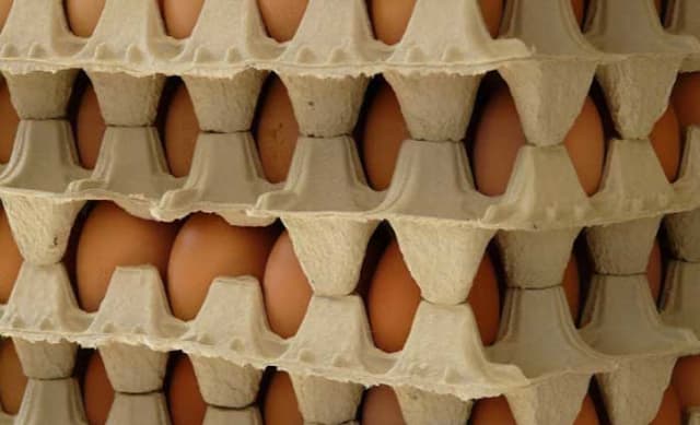 Let's hope the new arrivals like egg boxes: Pete Wargent