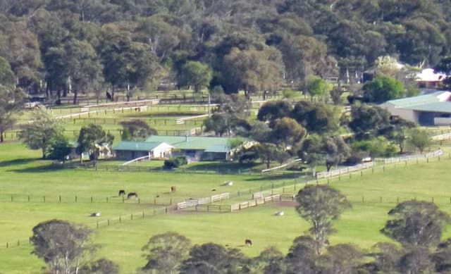 Boutique Hunter Valley broodmare farm listed