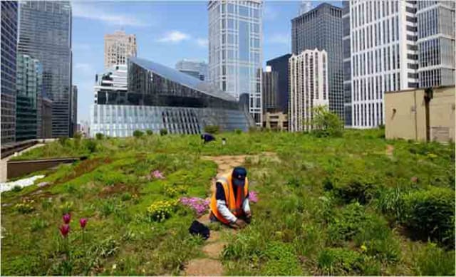 Green infrastructure the hot topic amongst city planners