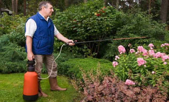 Are common garden chemicals a health risk?