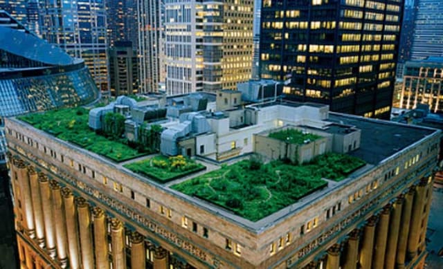 Biophilic urbanism: how rooftop gardening soothes souls