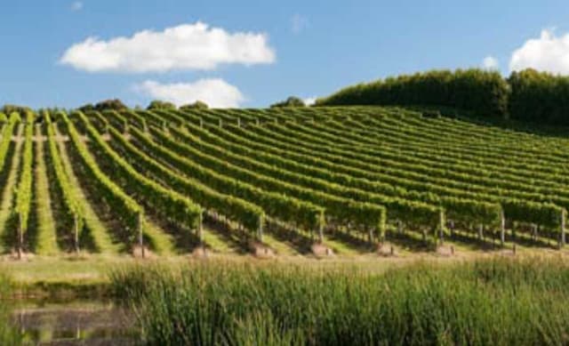 Mornington Peninsula vineyard sale to Chinese buyers