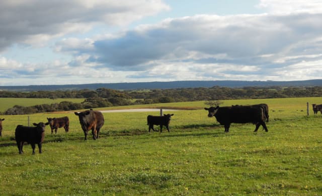 Kerry Stokes and Peter Murray buy Kangaroo Island farm, Woodlana