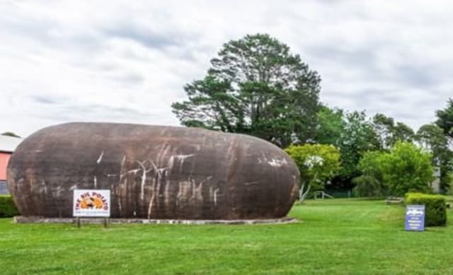 The Big Potato at Robertson in the Southern Highlands listed at $920,000